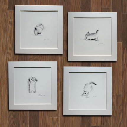 Collection image for: Print Sets