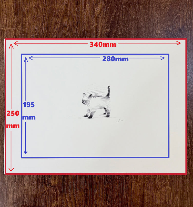 Art Print – "Siamese Cat" (RP-006)