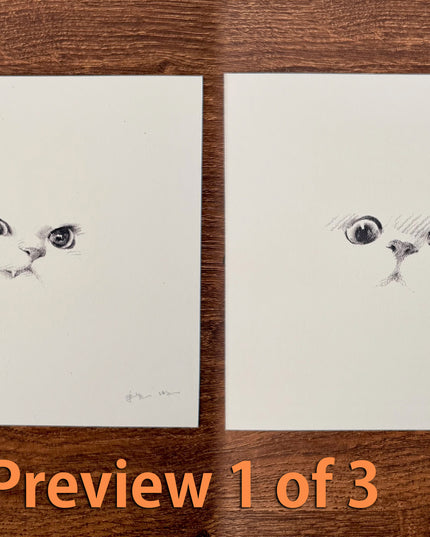 Kitten Expression Series (Set of 6 Illustrations)