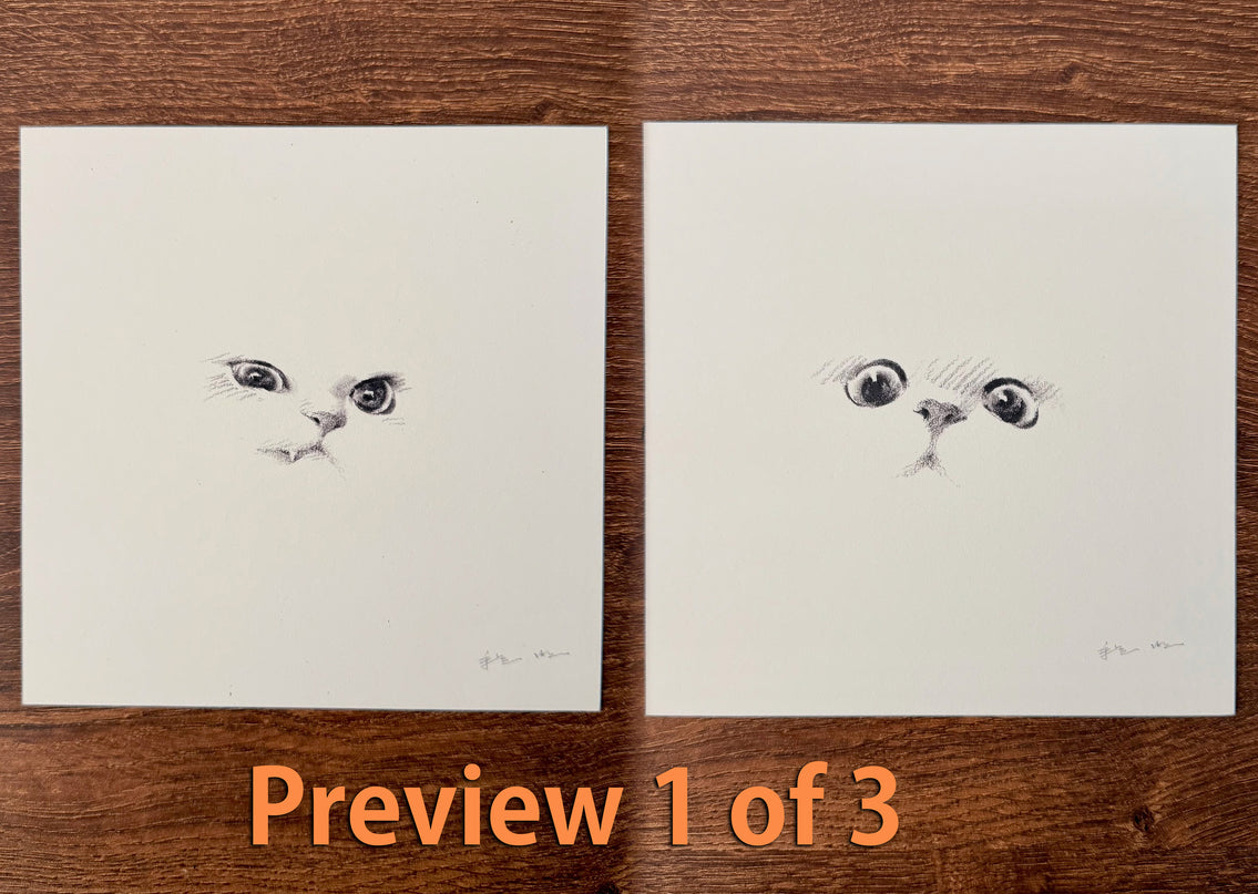 Kitten Expression Series (Set of 6 Illustrations)