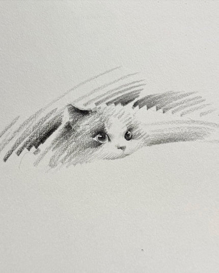 No. 042 "Ragdoll Cat"