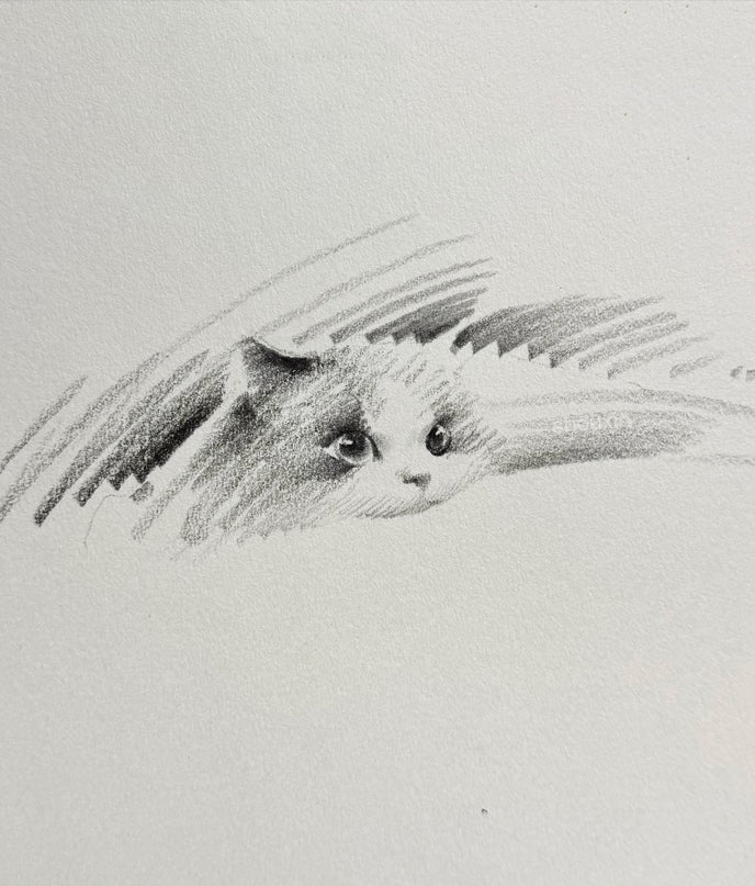 No. 042 "Ragdoll Cat"
