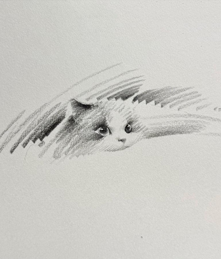 No. 042 "Ragdoll Cat"