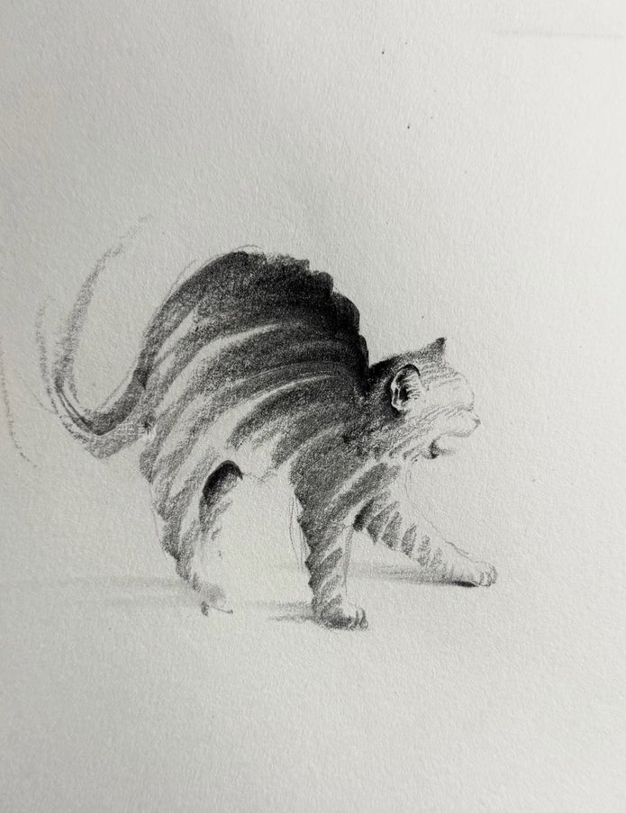 No. 041 "Morning Yawn"