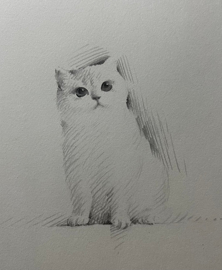 No. 043 "Golden Shaded Cat"