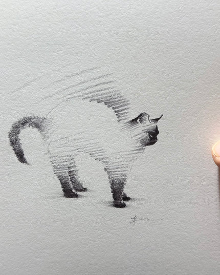 Siamese Cats Series (Set of 4 Illustrations)
