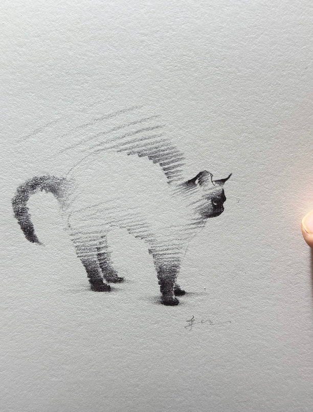 Siamese Cats Series (Set of 4 Illustrations)