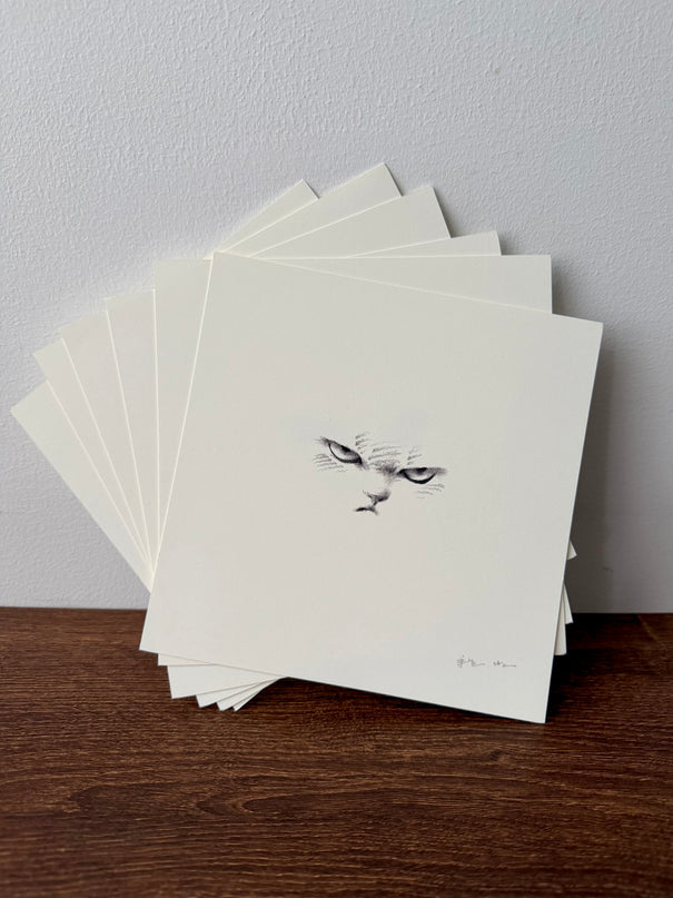 Kitten Expression Series (Set of 6 Illustrations)