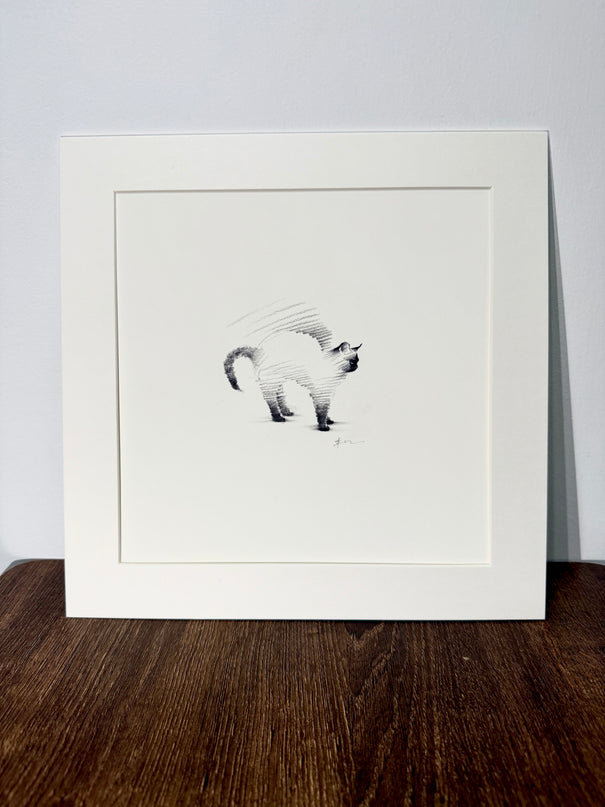 Siamese Cats Series (Set of 4 Illustrations)