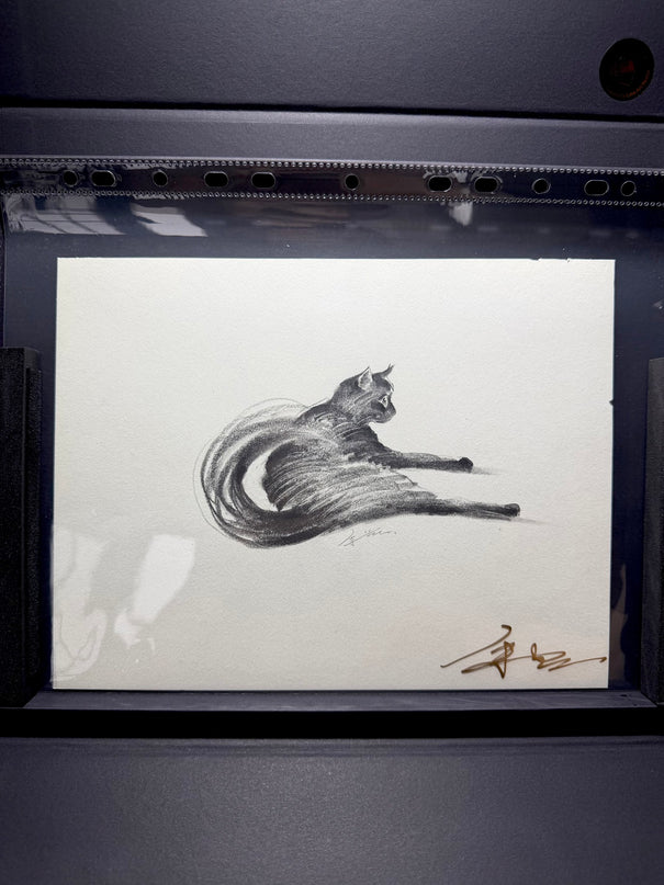 No. 029 "Black Cat Series, Contemplation"