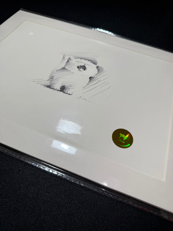 Art Print – "Big Meow"  (2506P004)