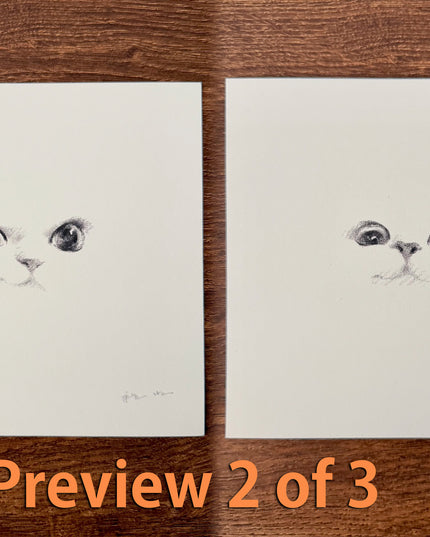 Kitten Expression Series (Set of 6 Illustrations)
