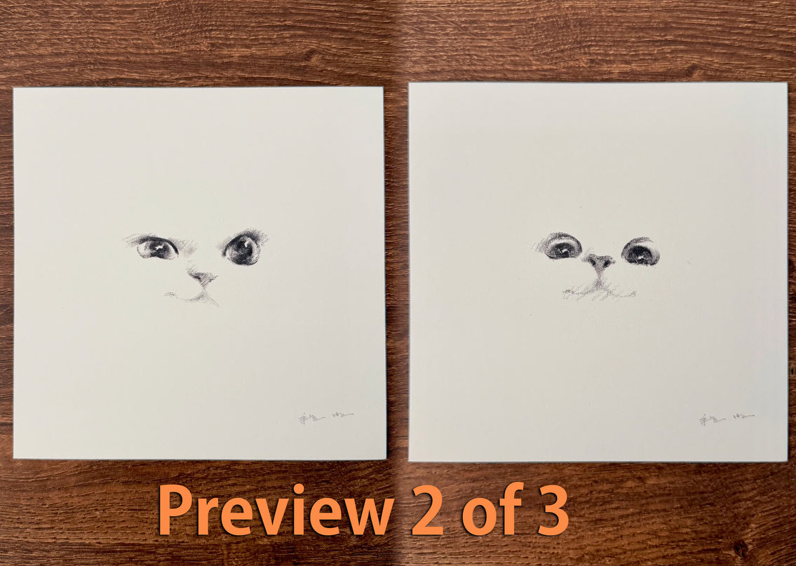 Kitten Expression Series (Set of 6 Illustrations)