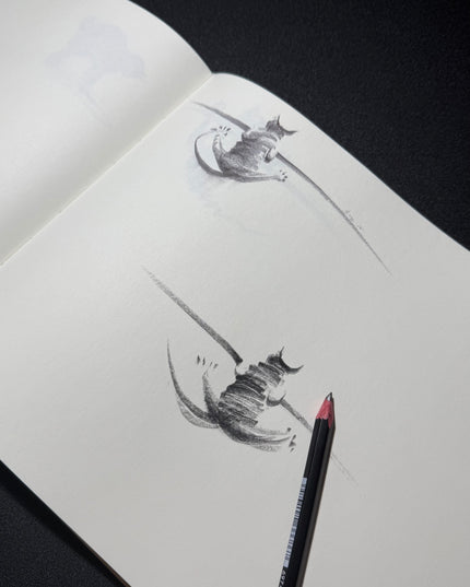 Sketching with ShouXin: A Practice Guide and Workbook