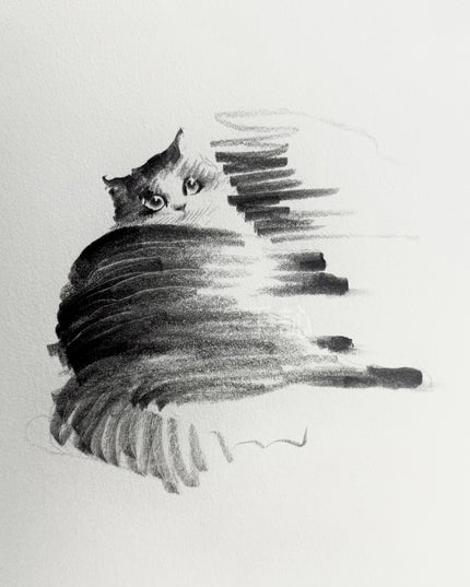 No. M001  "The Black Cat — Stillness" (Masterpiece)