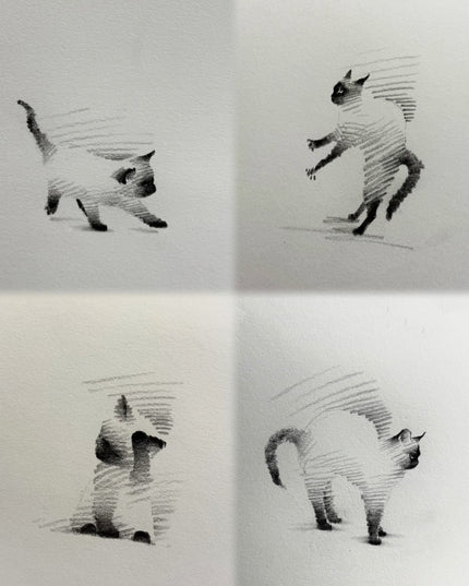 Siamese Cats Series (Set of 4 Illustrations)