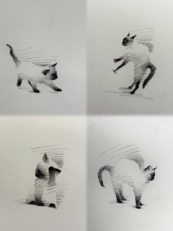 Siamese Cats Series (Set of 4 Illustrations)