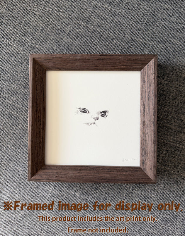 Kitten Expression Series (Set of 6 Illustrations)