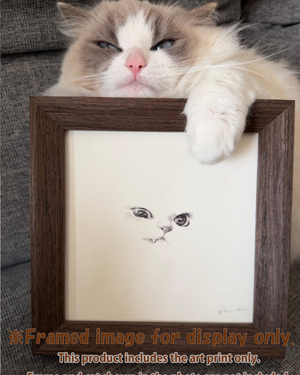Kitten Expression Series (Set of 6 Illustrations)