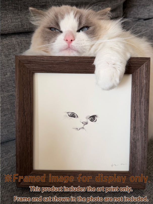 Kitten Expression Series (Set of 6 Illustrations)