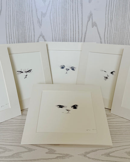 Kitten Expression Series (Set of 6 Illustrations)