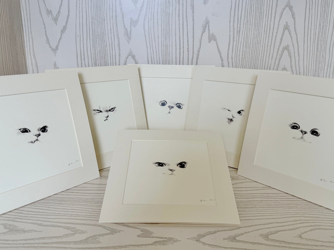 Kitten Expression Series (Set of 6 Illustrations)