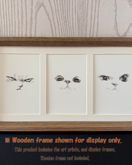Kitten Expression Series (Set of 6 Illustrations)