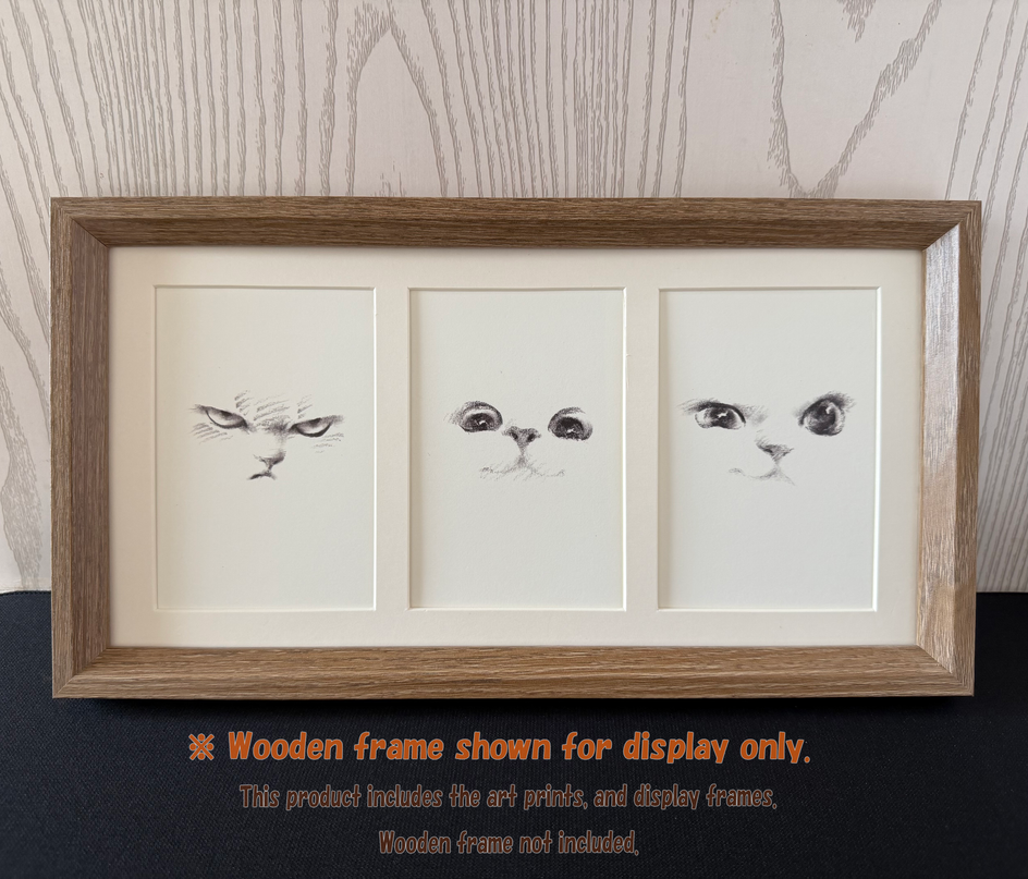 Kitten Expression Series (Set of 6 Illustrations)