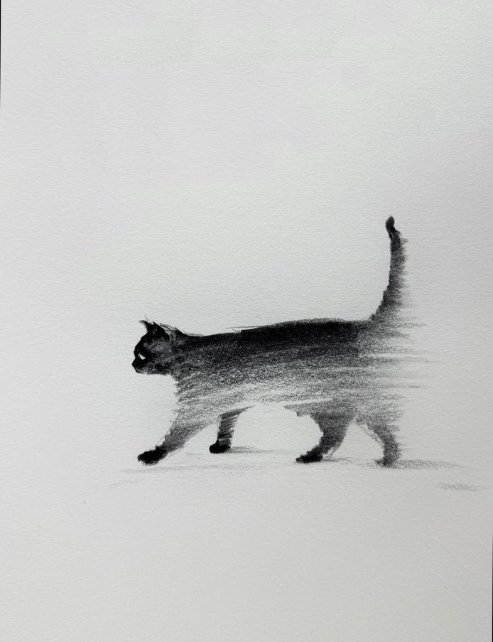 No. 039 "Black Cat Series, Walking Against the Wind"