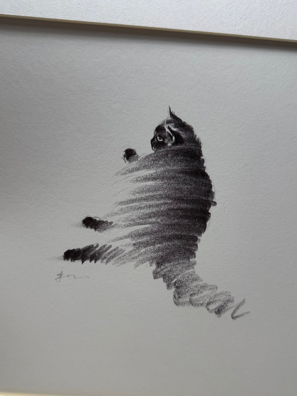 Art Print – "Lazy Cat" (2512P002)