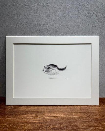 Art Print – "Zoomies 2" (2512P003)