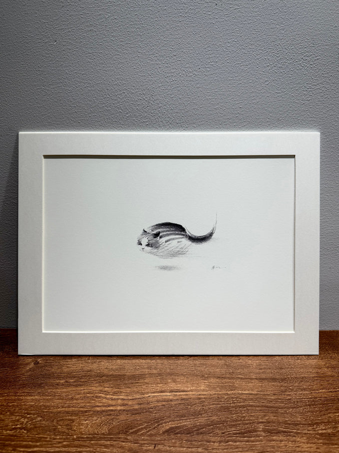 Art Print – "Zoomies 2" (2512P003)