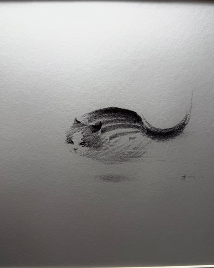 Art Print – "Zoomies 2" (2512P003)