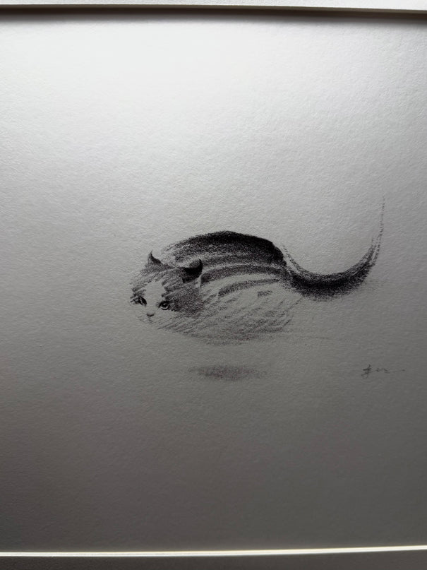 Art Print – "Zoomies 2" (2512P003)