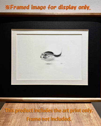 Art Print – "Zoomies 2" (2512P003)