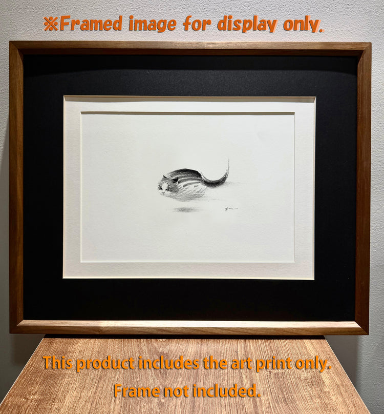 Art Print – "Zoomies 2" (2512P003)