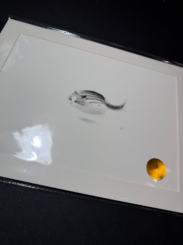 Art Print – "Zoomies 2" (2512P003)