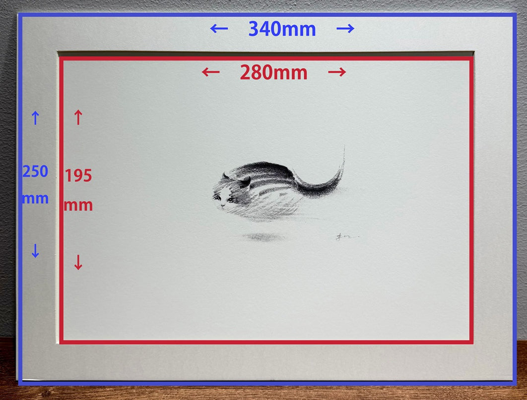 Art Print – "Zoomies 2" (2512P003)