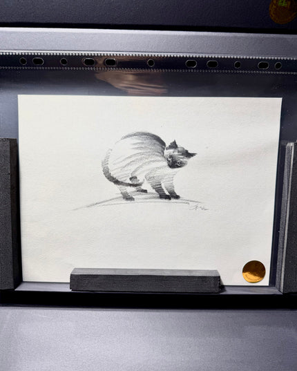 No. 019  "Black Cat Series, Warning"