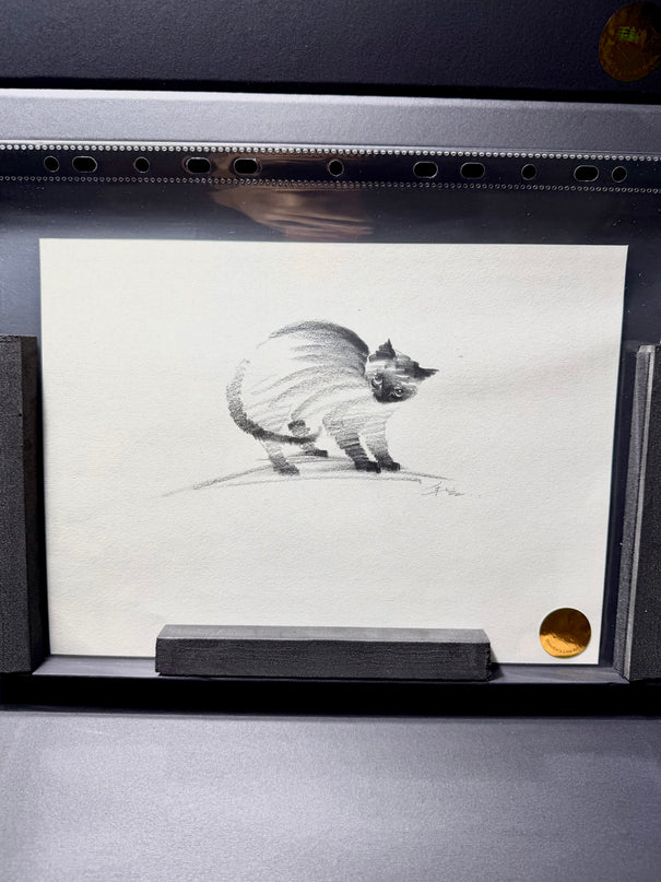 No. 019  "Black Cat Series, Warning"