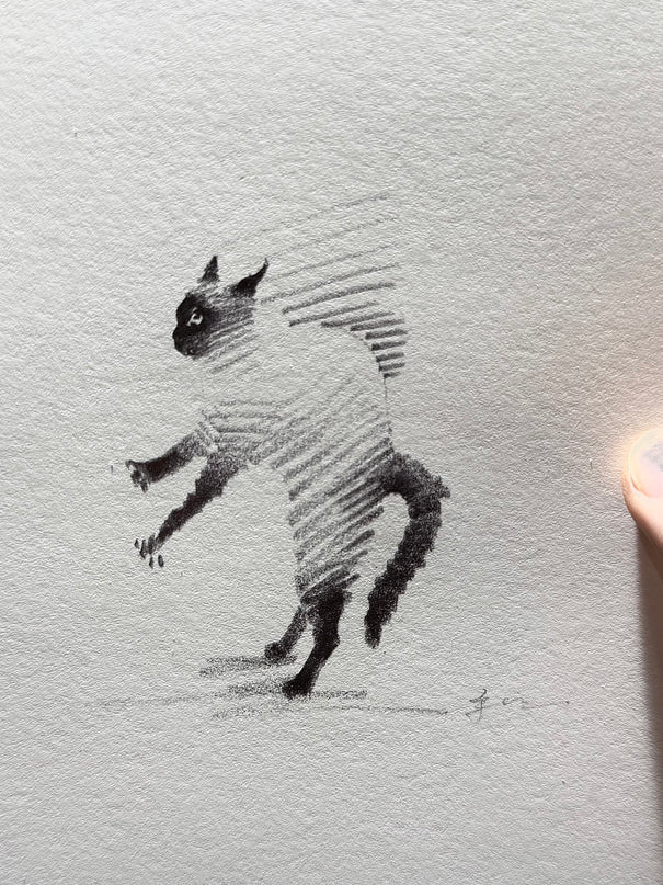 Siamese Cats Series (Set of 4 Illustrations)