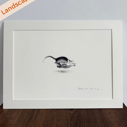 Collection image for: All Products