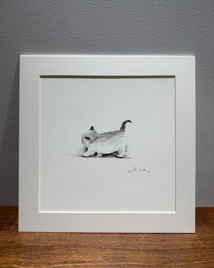 Leisurely Kittens Series (Set of 4 Illustrations)