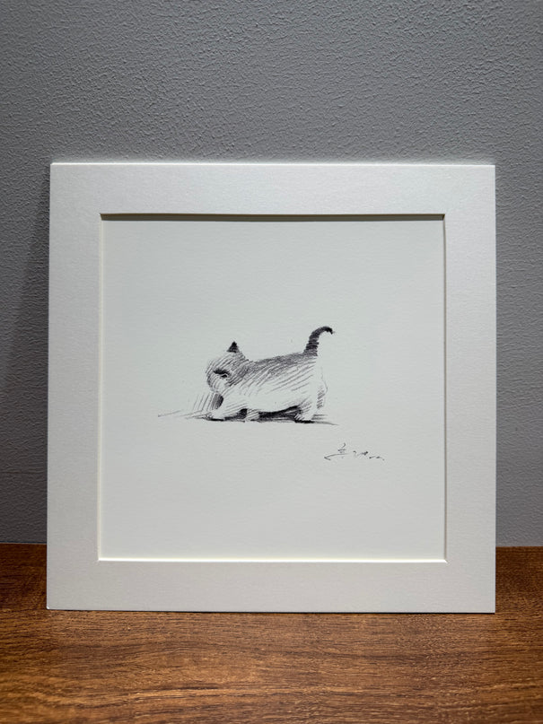 Leisurely Kittens Series (Set of 4 Illustrations)