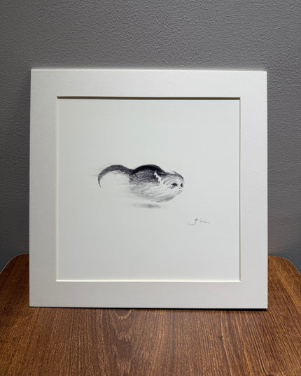 Dashing Kittens Series (Set of 4 Illustrations)