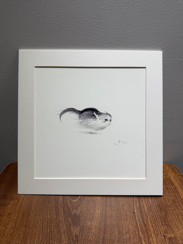 Dashing Kittens Series (Set of 4 Illustrations)