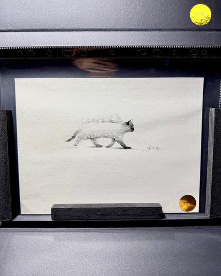 No. 017  "Strolling"