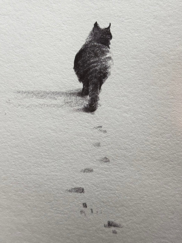 Snowy Kittens Series (Set of 4 Illustrations)
