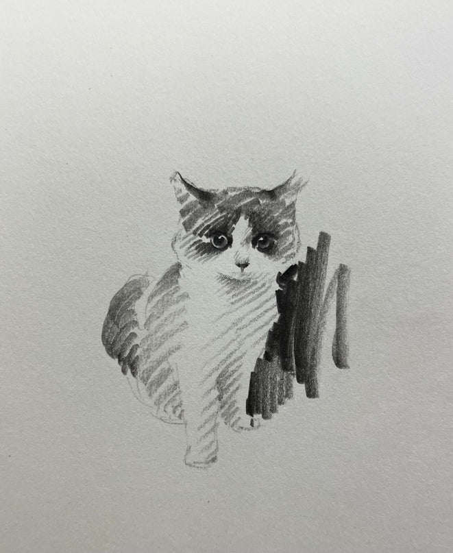 No. 013  "Ragdoll Cat"