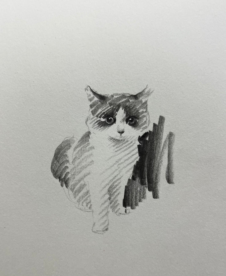 No. 013  "Ragdoll Cat"